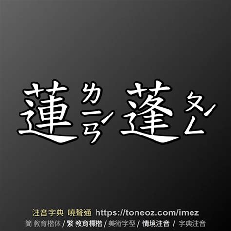 蓮蓬意思|詞:蓮蓬 (注音:ㄌㄧㄢˊ ㄆㄥˊ) 